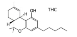 Illustration molécule THC